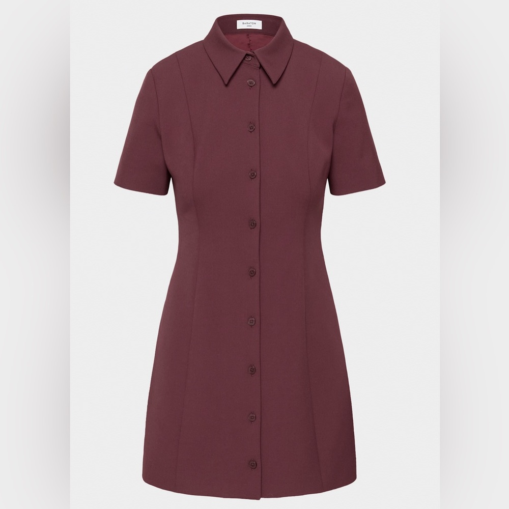 NWT Aritzia Babaton Telecast Dress